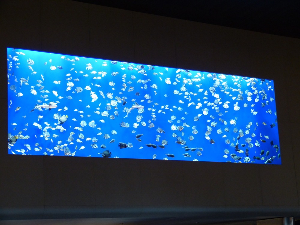 L1070831.JPG
