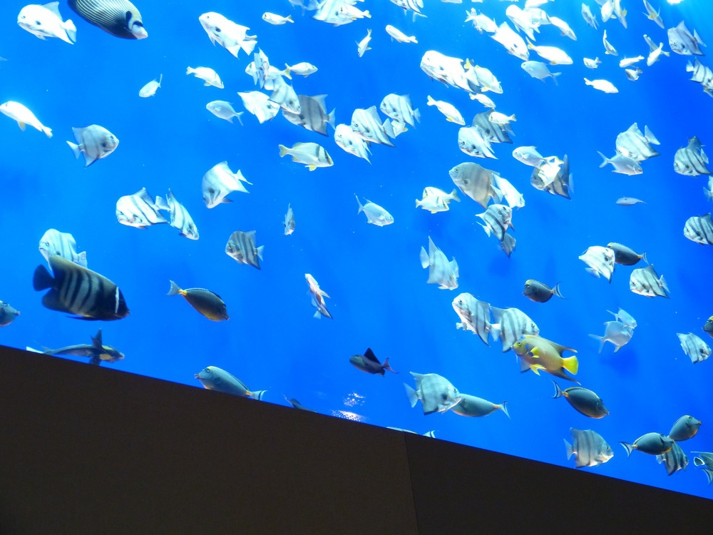 L1070840.JPG