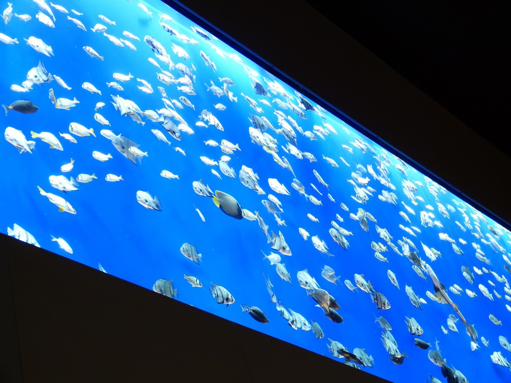 L1070836.JPG