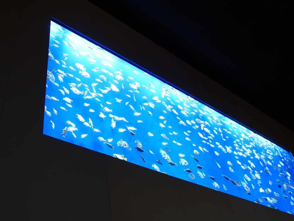 L1070838.JPG